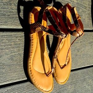 Born sandal br0004902 CQA20snakeskin 8